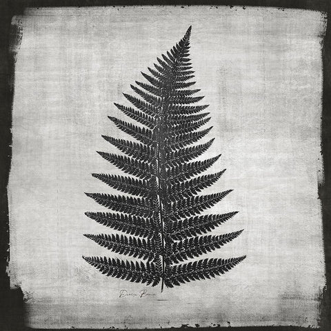 Noir Fern 1 White Modern Wood Framed Art Print by Brown, Denise