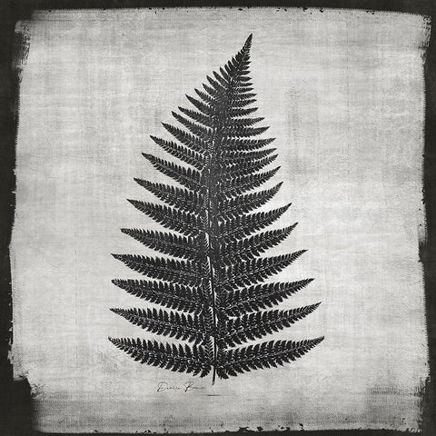 Noir Fern 1 Black Ornate Wood Framed Art Print with Double Matting by Brown, Denise