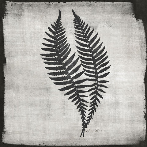 Noir Fern 2 White Modern Wood Framed Art Print by Brown, Denise