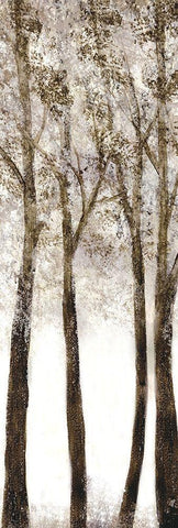 Wooded Grove 1 Black Ornate Wood Framed Art Print with Double Matting by Charest, Doris