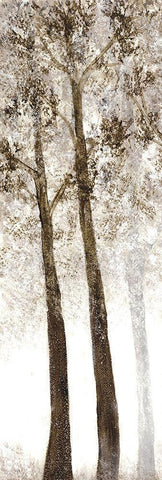 Wooded Grove 2 White Modern Wood Framed Art Print with Double Matting by Charest, Doris