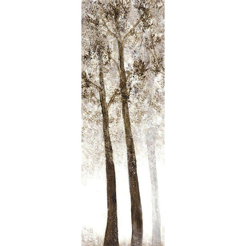 Wooded Grove 2 White Modern Wood Framed Art Print by Charest, Doris