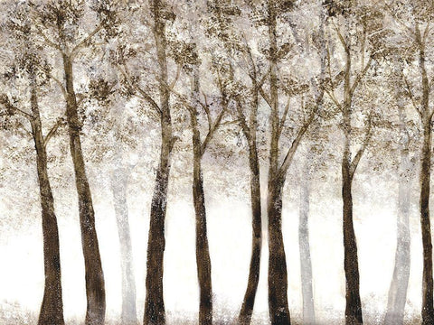 Wooded Grove Black Ornate Wood Framed Art Print with Double Matting by Charest, Doris