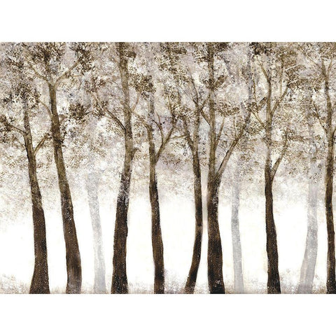 Wooded Grove Black Modern Wood Framed Art Print by Charest, Doris