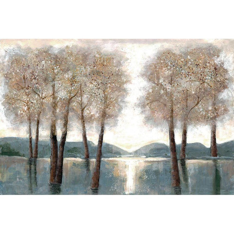 Approaching Woods Black Modern Wood Framed Art Print by Charest, Doris