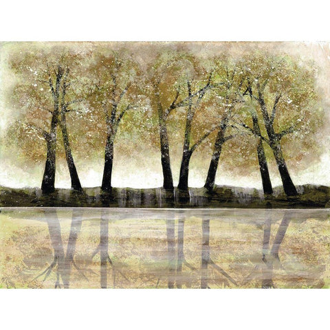 Spring Forest White Modern Wood Framed Art Print by Charest, Doris