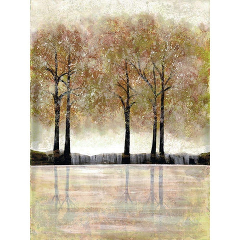 Serene Forest Black Modern Wood Framed Art Print with Double Matting by Charest, Doris