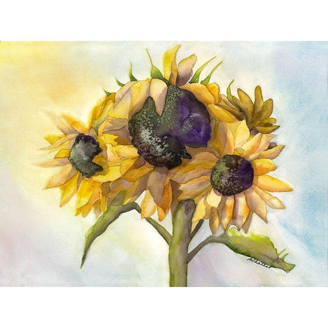 Sunflower Bloom 1 White Modern Wood Framed Art Print by Charest, Doris