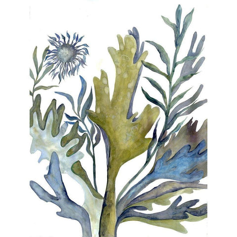 Underwater Spectacle 1 Black Modern Wood Framed Art Print by Charest, Doris