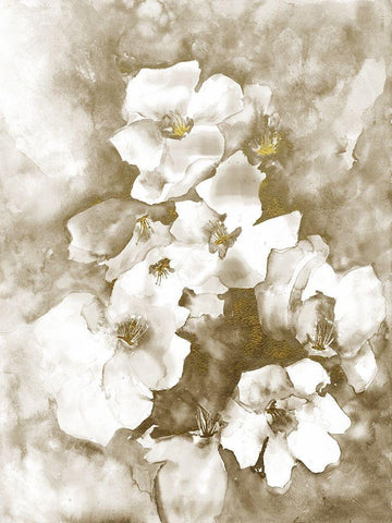 Lustrous Florals 1 White Modern Wood Framed Art Print with Double Matting by Charest, Doris