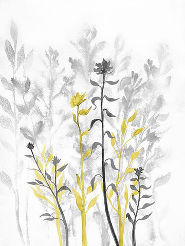 Illuminating Growth 1 Black Ornate Wood Framed Art Print with Double Matting by Charest, Doris