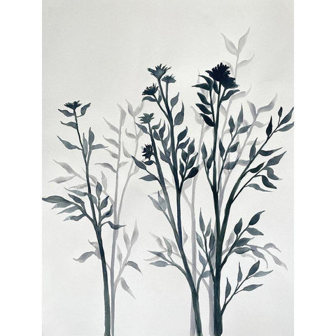 Botanical Inspiration 1 Black Modern Wood Framed Art Print with Double Matting by Charest, Doris