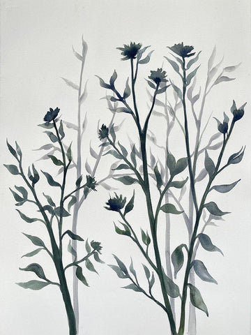 Botanical Inspiration 2 Black Ornate Wood Framed Art Print with Double Matting by Charest, Doris