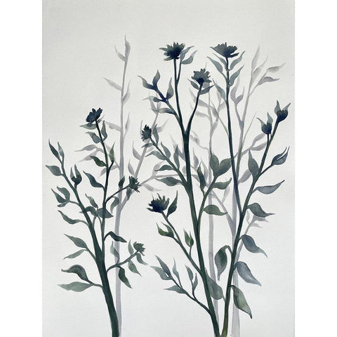 Botanical Inspiration 2 Black Modern Wood Framed Art Print with Double Matting by Charest, Doris