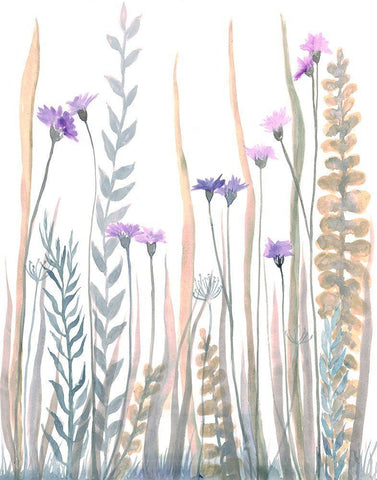 Garden Blooms 1 White Modern Wood Framed Art Print with Double Matting by Charest, Doris