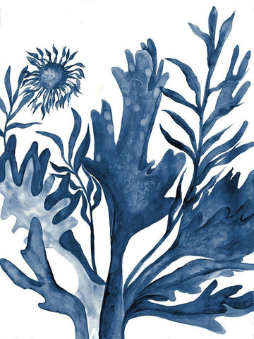 Underwater Life 1 White Modern Wood Framed Art Print with Double Matting by Charest, Doris