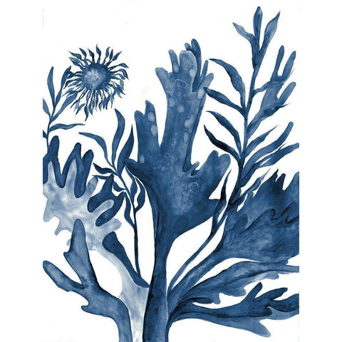 Underwater Life 1 Black Modern Wood Framed Art Print by Charest, Doris