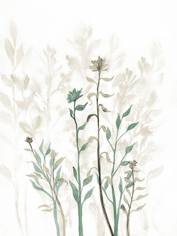 Rustic Growth 1 Black Ornate Wood Framed Art Print with Double Matting by Charest, Doris