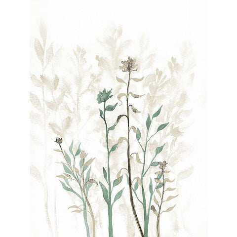 Rustic Growth 1 White Modern Wood Framed Art Print by Charest, Doris