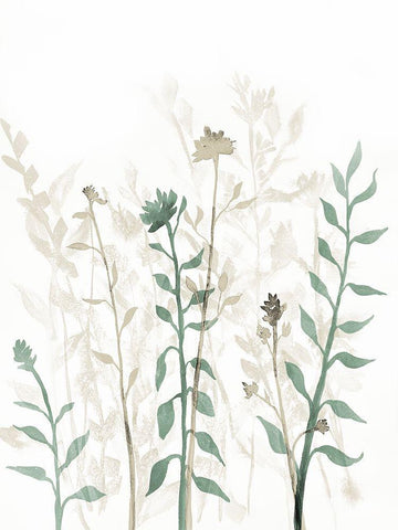 Rustic Growth 2 Black Ornate Wood Framed Art Print with Double Matting by Charest, Doris