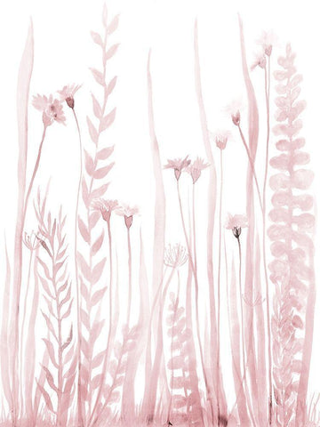 Soft Blooms 2 White Modern Wood Framed Art Print with Double Matting by Charest, Doris
