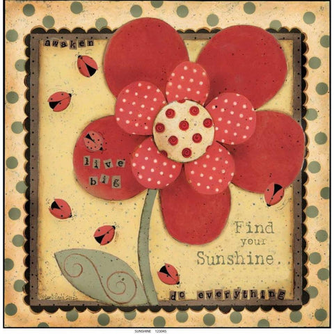 Sunshine White Modern Wood Framed Art Print by DiPaolo, Dan