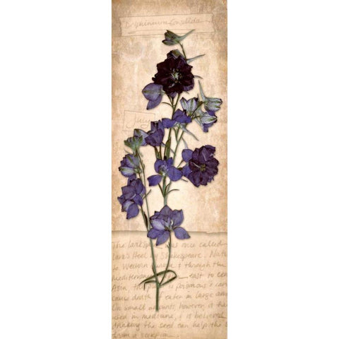 July Larkspur Gold Ornate Wood Framed Art Print with Double Matting by Stimson, Diane