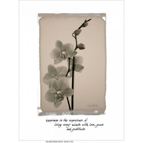 Orchid Black Modern Wood Framed Art Print by Stimson, Diane