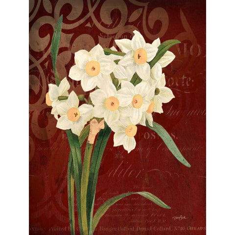 Narcissus 1 Black Modern Wood Framed Art Print with Double Matting by Stimson, Diane