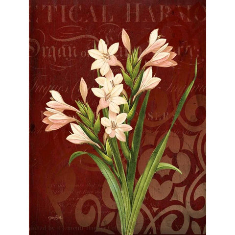 Narcissus 2 Gold Ornate Wood Framed Art Print with Double Matting by Stimson, Diane