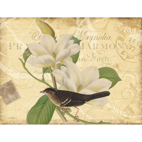 Bird Magnolia Gold Ornate Wood Framed Art Print with Double Matting by Stimson, Diane