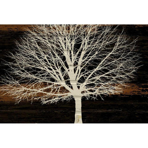 Night Tree Black Modern Wood Framed Art Print with Double Matting by Stimson, Diane