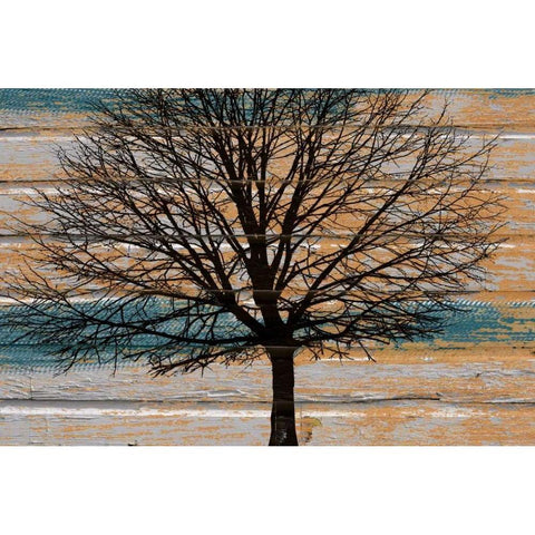 Day Tree Gold Ornate Wood Framed Art Print with Double Matting by Stimson, Diane