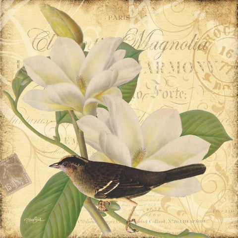 Bird Magnolia Black Modern Wood Framed Art Print with Double Matting by Stimson, Diane