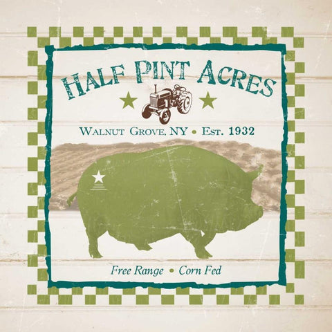 Half Pint Acres White Modern Wood Framed Art Print with Double Matting by Stimson, Diane