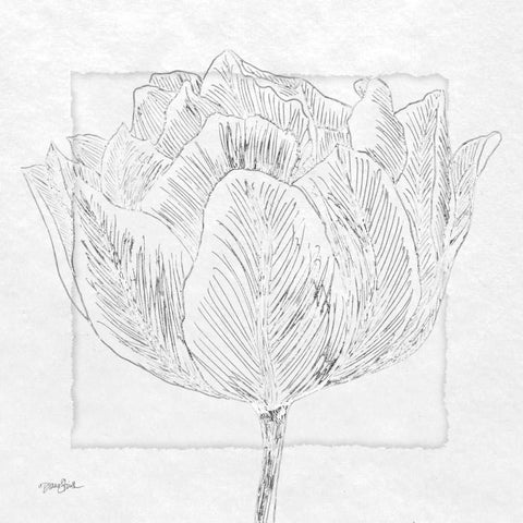 Tulipa 1 Black Modern Wood Framed Art Print by Stimson, Diane