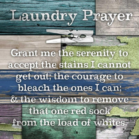 Laundry Prayer Black Ornate Wood Framed Art Print with Double Matting by Stimson, Diane