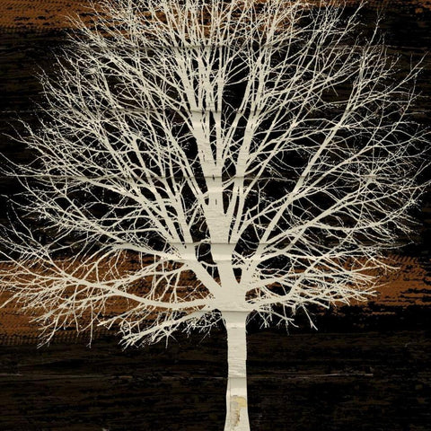 Night Tree White Modern Wood Framed Art Print with Double Matting by Stimson, Diane