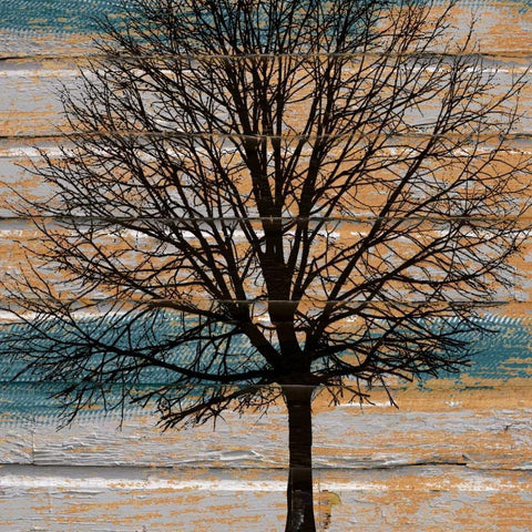 DayTree White Modern Wood Framed Art Print with Double Matting by Stimson, Diane