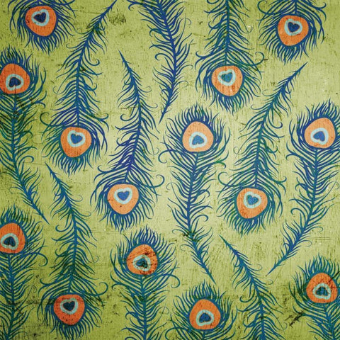 Peacock Pattern 1 White Modern Wood Framed Art Print by Stimson, Diane