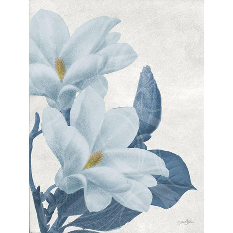 Magnolia Blues 1 White Modern Wood Framed Art Print by Stimson, Diane