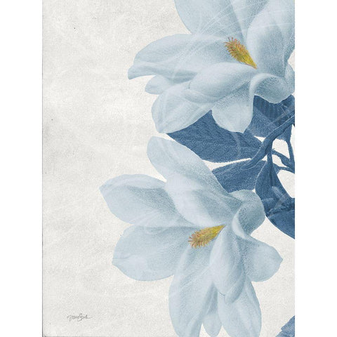 Magnolia Blues 2 Black Modern Wood Framed Art Print with Double Matting by Stimson, Diane