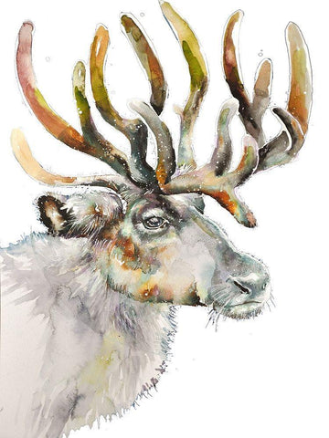 Moose on White Black Ornate Wood Framed Art Print with Double Matting by Debs, Emma Catherine