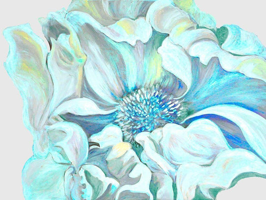 Image Only