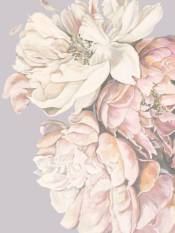 Soft Peonies White Modern Wood Framed Art Print with Double Matting by Debs, Emma Catherine
