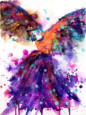 Parrot White Modern Wood Framed Art Print with Double Matting by Debs, Emma Catherine