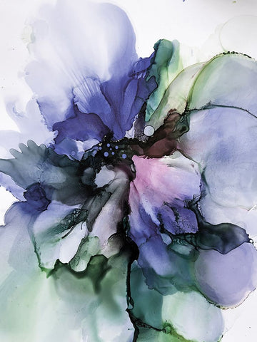 Floral Vibrant 2 Black Ornate Wood Framed Art Print with Double Matting by Debs, Emma Catherine