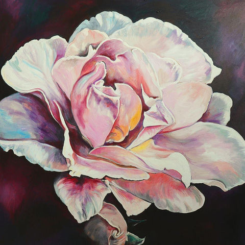 Rose 1 Black Ornate Wood Framed Art Print with Double Matting by Debs, Emma Catherine