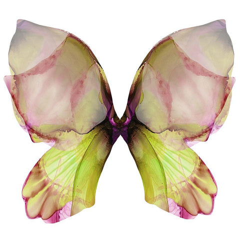 Floral Butterfly 2 Black Modern Wood Framed Art Print with Double Matting by Debs, Emma Catherine