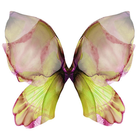 Floral Butterfly 2 Black Ornate Wood Framed Art Print with Double Matting by Debs, Emma Catherine